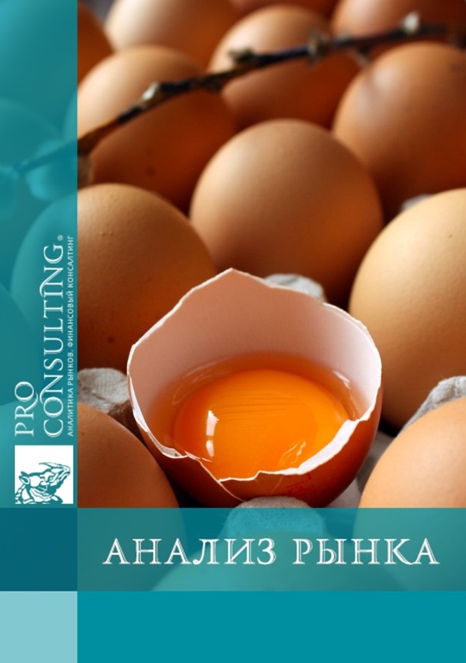 Анализ рынка яиц и яичных продуктов Украины. 1 пол. 2013 года